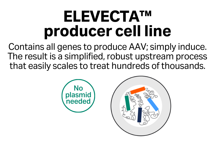 ELEVECTA producer cell line