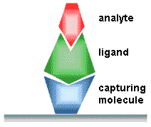 ligand